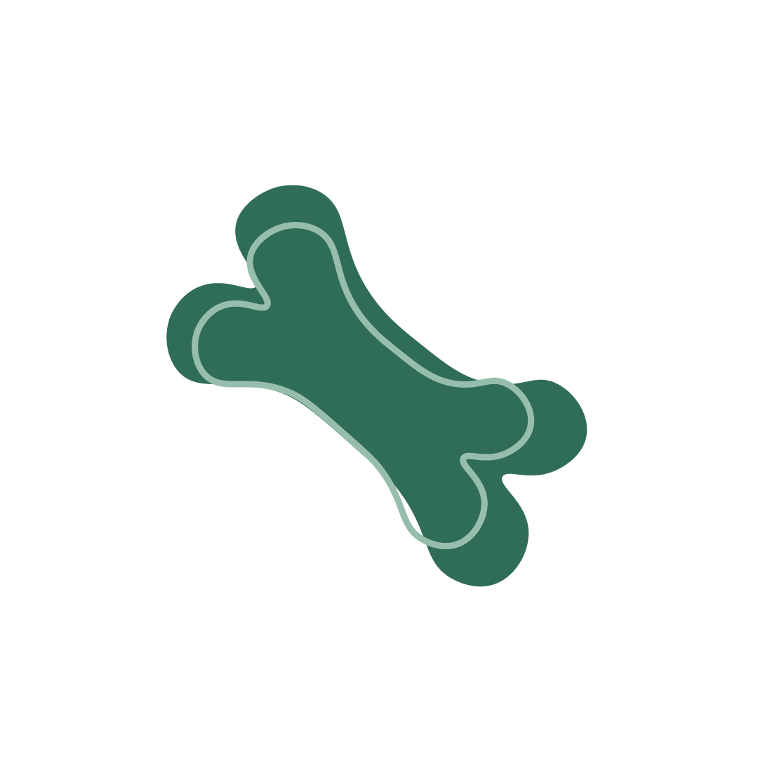 Os de chien (décoration)